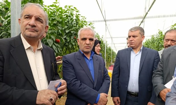 رییس کمیسیون کشاورزی مجلس: حوزه کشاورزی در برنامه هفتم توسعه مورد توجه قرار گرفت