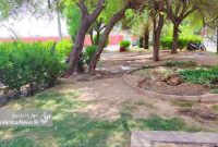 وضعیت نابهسامان چمنهای پارک بهزاد شهر(مناطق)+نظرات ساکنین در پی بهبود وضعیت چمن های این پارک وضعیت نابهسامان چمنهای پارک بهزاد شهر(مناطق)+نظرات ساکنین در پی بهبود وضعیت چمن های این پارک