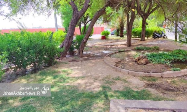 وضعیت نابهسامان چمنهای پارک بهزاد شهر(مناطق)+نظرات ساکنین در پی بهبود وضعیت چمن های این پارک وضعیت نابهسامان چمنهای پارک بهزاد شهر(مناطق)+نظرات ساکنین در پی بهبود وضعیت چمن های این پارک