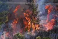 کاهش ۵۰ درصدی آتش‌سوزی منابع طبیعی خوزستان؛ مهار حریق در مناطق صعب‌العبور همچنان دستی