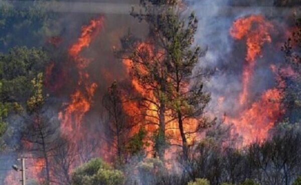 کاهش ۵۰ درصدی آتشسوزی منابع طبیعی خوزستان؛ مهار حریق در مناطق صعبالعبور همچنان دستی کاهش ۵۰ درصدی آتشسوزی منابع طبیعی خوزستان؛ مهار حریق در مناطق صعبالعبور همچنان دستی